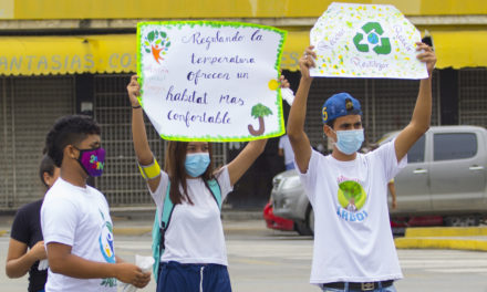 Movimientos ecosocialistas realizaron toma de semáforos en Maracay