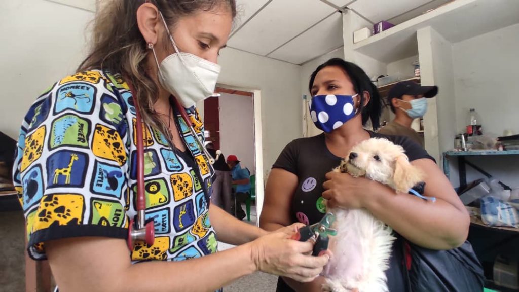 Dra. Laura Ostia, médico veterinario de la Misión Nevado de Aragua, comprometida con el bienestar de la población animalista