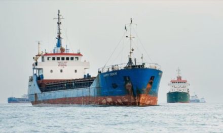 Rusia permitirá exportaciones del grano ucraniano por vía marítima