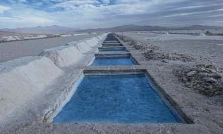 Argentina y Bolivia acordaron producir celdas y baterías de litio
