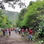 Gmbnbt realiza labores de saneamiento en Ocumare de la Costa