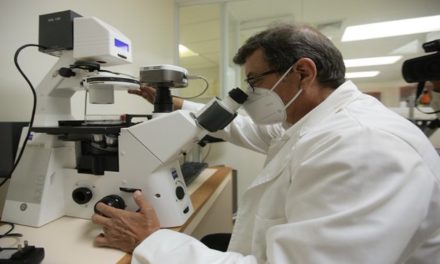 Venezuela logra importantes avances en tratamientos regenerativos con células madres
