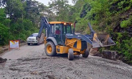 Continúa el despeje de vías agrícolas en Puerto Maya