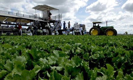 Reportan crecimiento del sector agroindustrial en el país