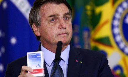 Acusan a Bolsonaro  de difundir  noticias falsas