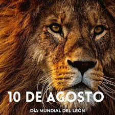 Dia Mundial del León