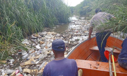 Protección Civil de Linares Alcántara efectuó limpieza y desazolve del río Turmero