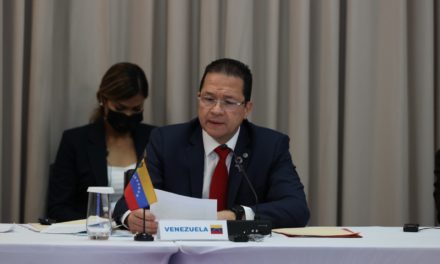 Canciller Carlos Faría ratifica compromiso de Venezuela con principios de la Carta de la ONU