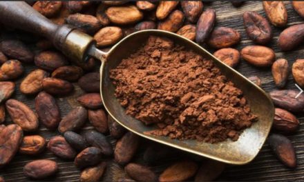 Venezuela celebra el Día Nacional del Cacao
