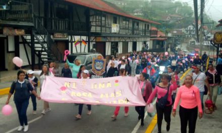 Colonia Tovar se vistió de rosa en contra del cáncer de mama