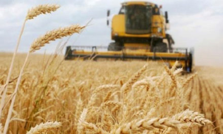 FAO resalta iniciativa rusa de donar alimentos