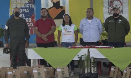 Instituciones educativas de Mariño y Girardot recibieron kits para la plantación de árboles