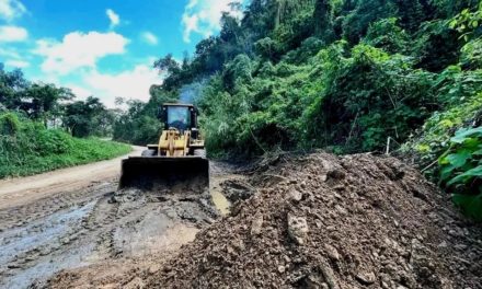 Alcaldía de Revenga y Poder Popular recuperan carretera en sector Las Tasajeras