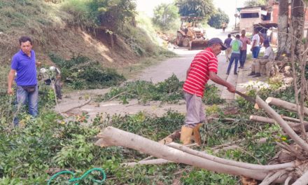 Trabajos de rescate y saneamiento ambiental avanzan en Ribas