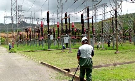 Profundizan control de vegetación en subestaciones eléctricas de Aragua