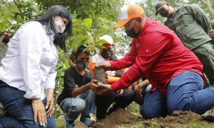 Minec plantó más de ocho millones de árboles en todo el país
