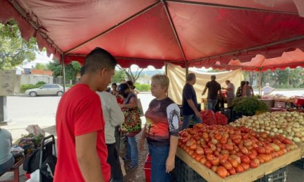 Realizada jornada de alimentación en el municipio Sucre