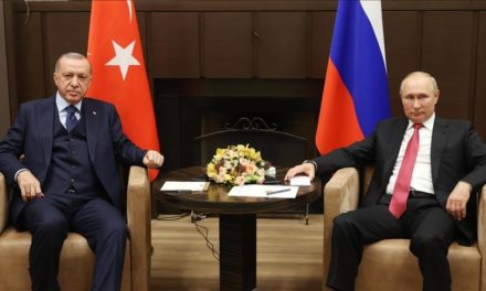 Presidentes de Rusia y Türkiye evalúan situación sobre Ucrania