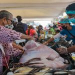 Feria del Cardumen distribuirá 1 millón 500 mil kilos de pescado en el país