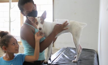 Misión Nevado Aragua realizó jornada de atención integral veterinaria en Mariño