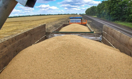 Rusia extiende acuerdo de exportación de cereales por 60 días