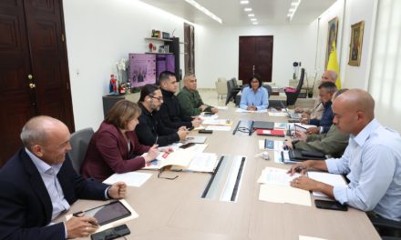 Consejo de Vicepresidentes Sectoriales revisa y evalúa políticas públicas del país