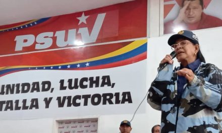 Instalada en el PSUV Aragua la comisión de movimientos sociales de la nueva época