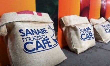 Venezuela alcanza producción de más de un millón 900 mil quintales de café