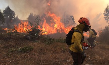 Contenido incendio forestal en Chile