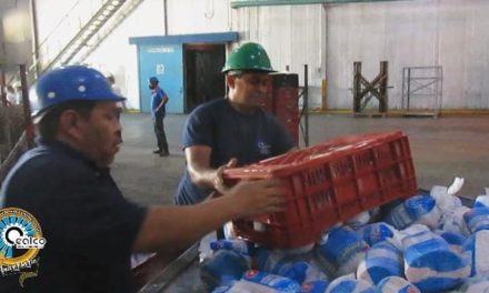 Cealco se mantiene contribuyendo a la seguridad alimentaria del pueblo venezolano