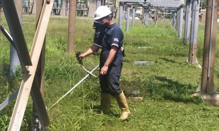Corpoelec y alcaldías sumaron esfuerzos para control de vegetación cerca de instalaciones eléctricas