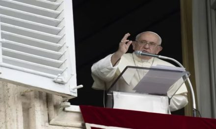 Papa Francisco pidió «no descuidar las otras guerras a menudo olvidadas»