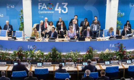 FAO elogia logros alcanzados por Venezuela en materia de alimentación