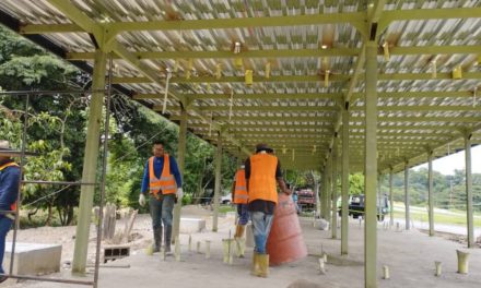 Construcción en el Parador Turístico «Aragua Reverdece» sigue avanzando