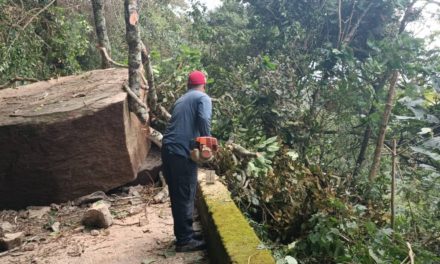 Iniciaron trabajos de despeje vial en la carretera Maracay-Choroní