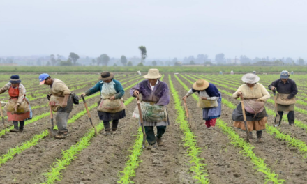 Bolivia conmemoró inicio de proceso de reforma agraria