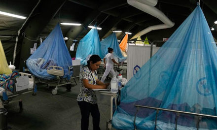 Perú destinó 11 millones de dólares para prevenir y controlar el dengue