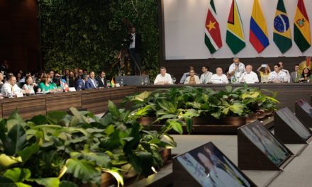 Proponen apoyar mayor cooperación comercial entre países de la Amazonía