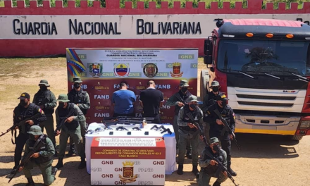 Fanb incautó 11 armas de fuego ocultas en una gandola en Bolívar