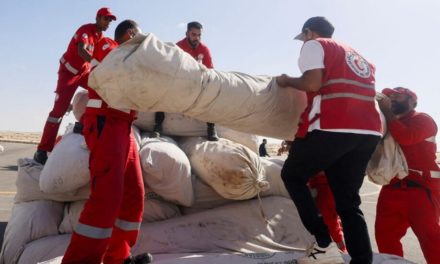 ONU saludó entrada de ayuda humanitaria a Gaza y llamó a mantener esfuerzos