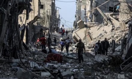 OMS y PMA reclaman entrada urgente de productos de primera necesidad a Gaza
