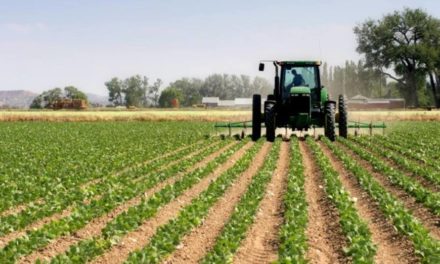 Gobierno garantiza diésel al sector agroproductivo