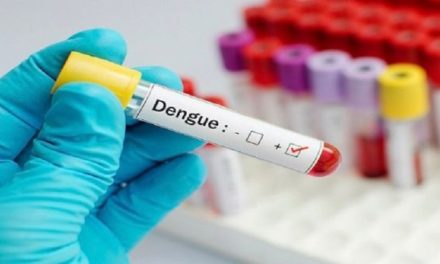Autoridades confirmaron brote de dengue en Barbados