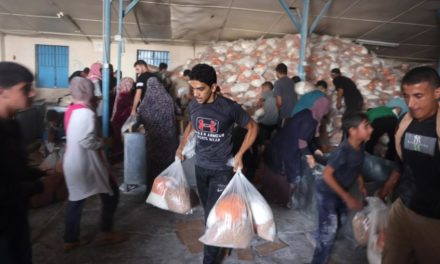 ONU instó a aumentar el acceso de la ayuda humanitaria a Gaza