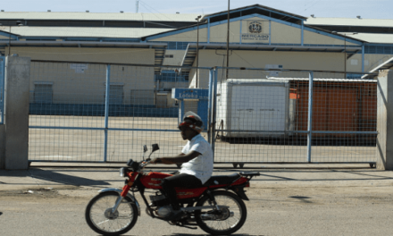 Gobierno dominicano abrirá corredores comerciales con Haití