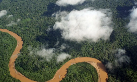 Venezuela reafirma compromiso ante la Otca para promover proyectos ambientales