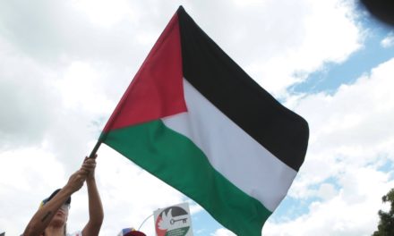 Venezuela respaldó acuerdos de la OCI y Liga Árabe sobre genocidio contra Palestina