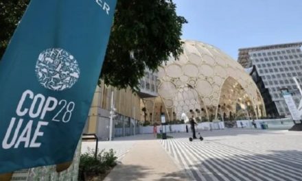 Comienza la cumbre climática anual COP28 en Dubái