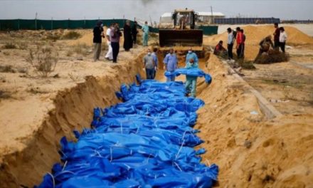 ONU advierte que masacre en Gaza es igual a genocidios en Srebrenica y Ruanda