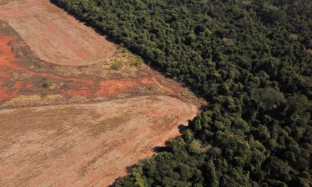 Piden en Brasil incluir a pueblos de la selva en política climática